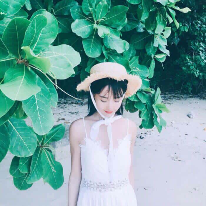 zzh1213的头像-菠菜星球
