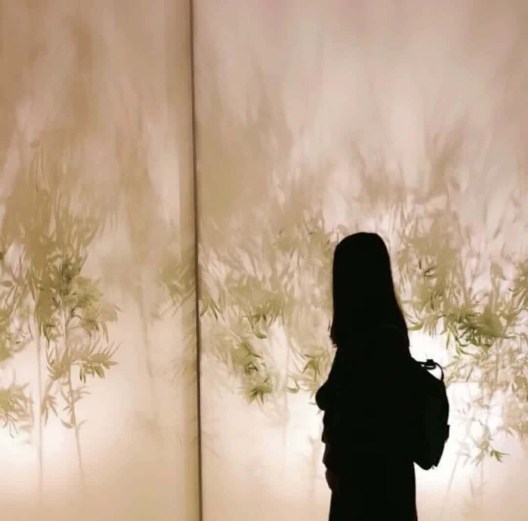 夜姐的头像-菠菜星球